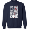 Some People Only Dream of Funding An Awesome Engineer I Raised One Pullover Sweatshirt