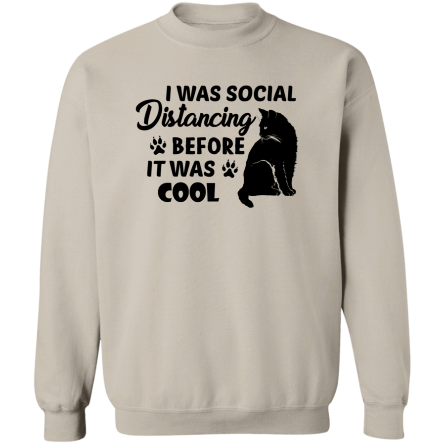 I Was Distancing Before It Was Cool Pullover Sweatshirt